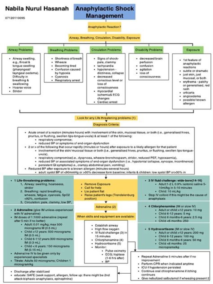 Anaphylactic Shock Management PDF: Essential First Aid Guide