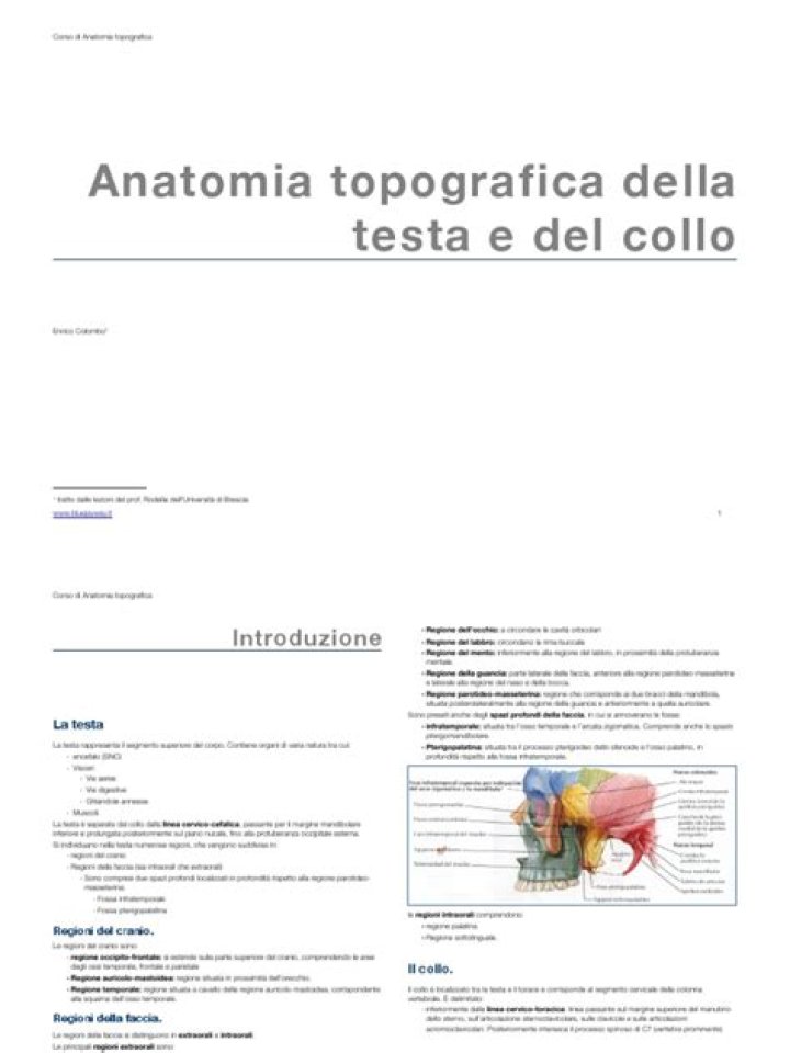 Anatomia Testa Collo PDF: Detailed Diagrams and Clinical Insights