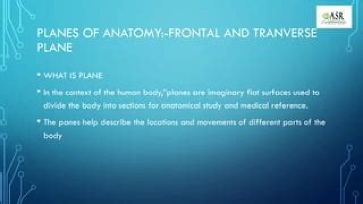 Anatomical Planes PDF: Essential Guide for Medical Students