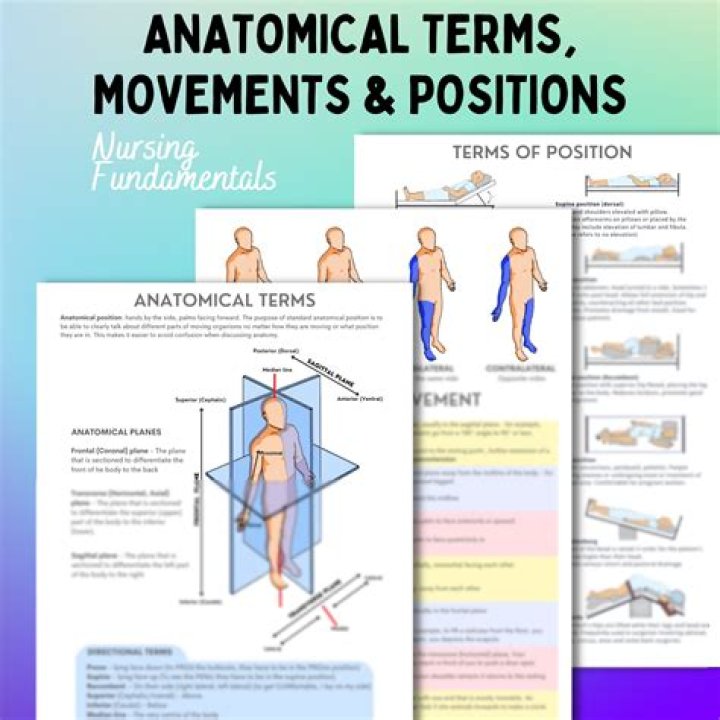 Anatomical Position and Planes PDF: Essential Medical Reference
