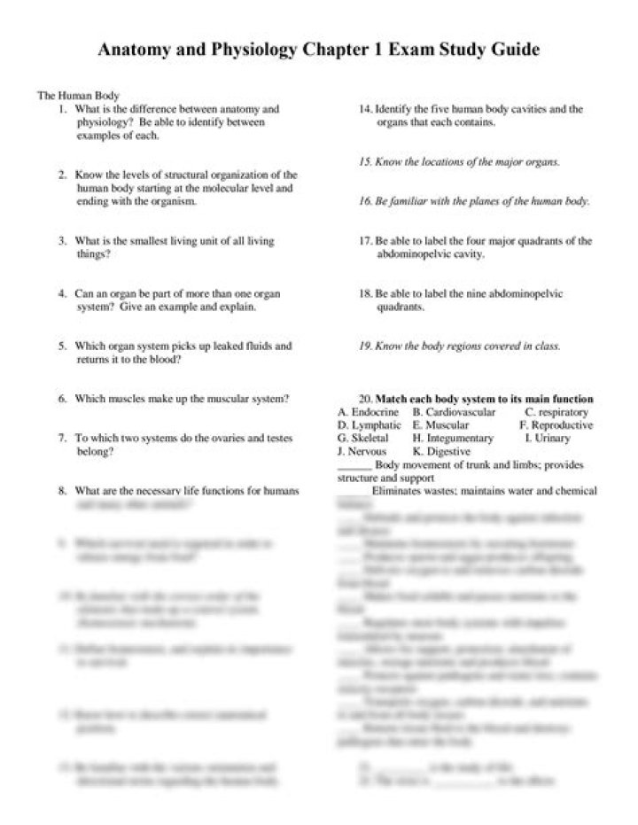 Anatomy Chapter 1 Test PDF – Free Download & Practice