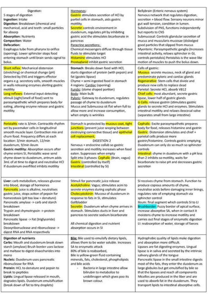 Anatomy Cheat Sheet PDF – Instant Downloadable Study Guide