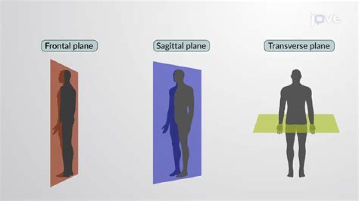 Anatomy Frontal Sagittal Transverse Test: Comprehensive PDF Guide