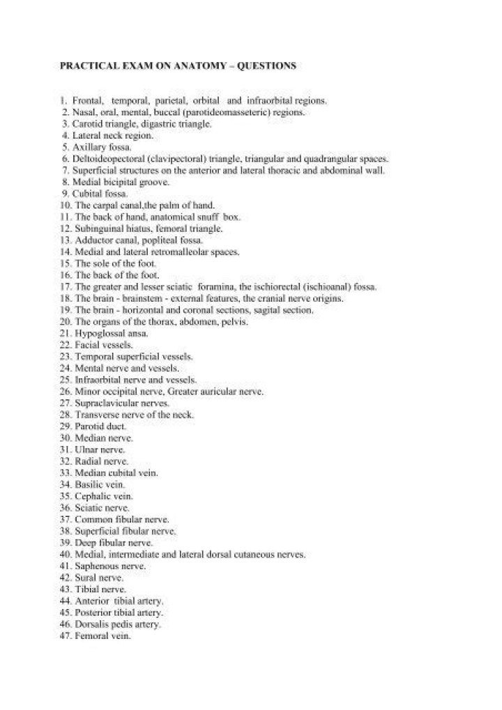Anatomy Practical Exam Questions PDF – Download Now