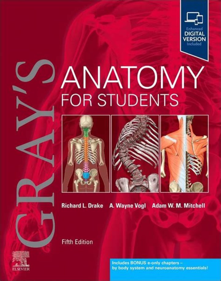 Anatomy Questions & Answers for Medical Students PDF – Study Guide