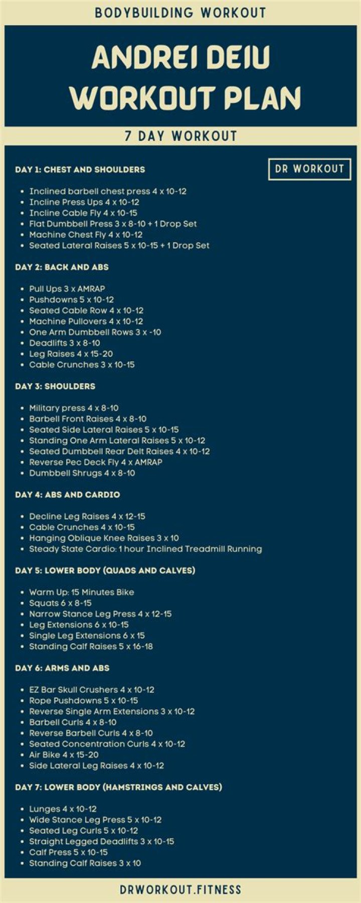 Andrei Deiu's Pro Workout Plan PDF: Build Muscle & Boost Fitness