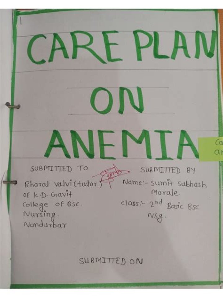 Anemia Care Plan PDF: Essential Management Guide