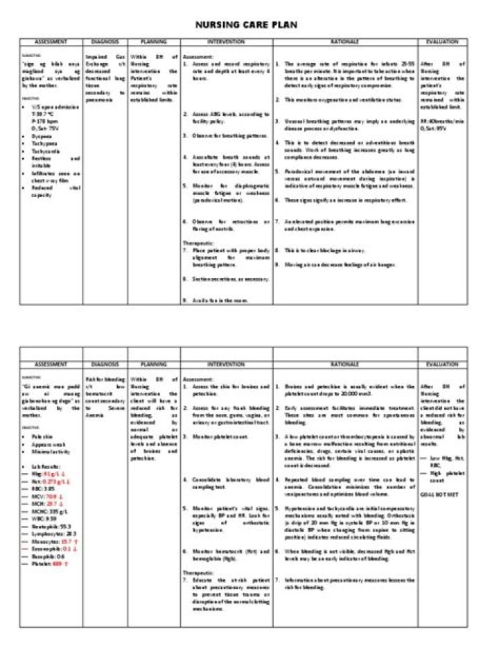 Anemia Nursing Care Plan PDF: Essential Guidelines for Effective Patient Management