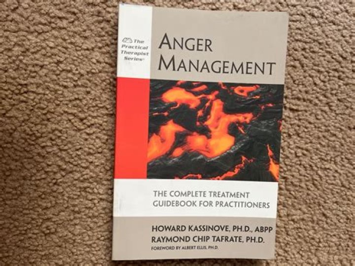 Anger Management: The Complete Treatment Guidebook for Practitioners PDF