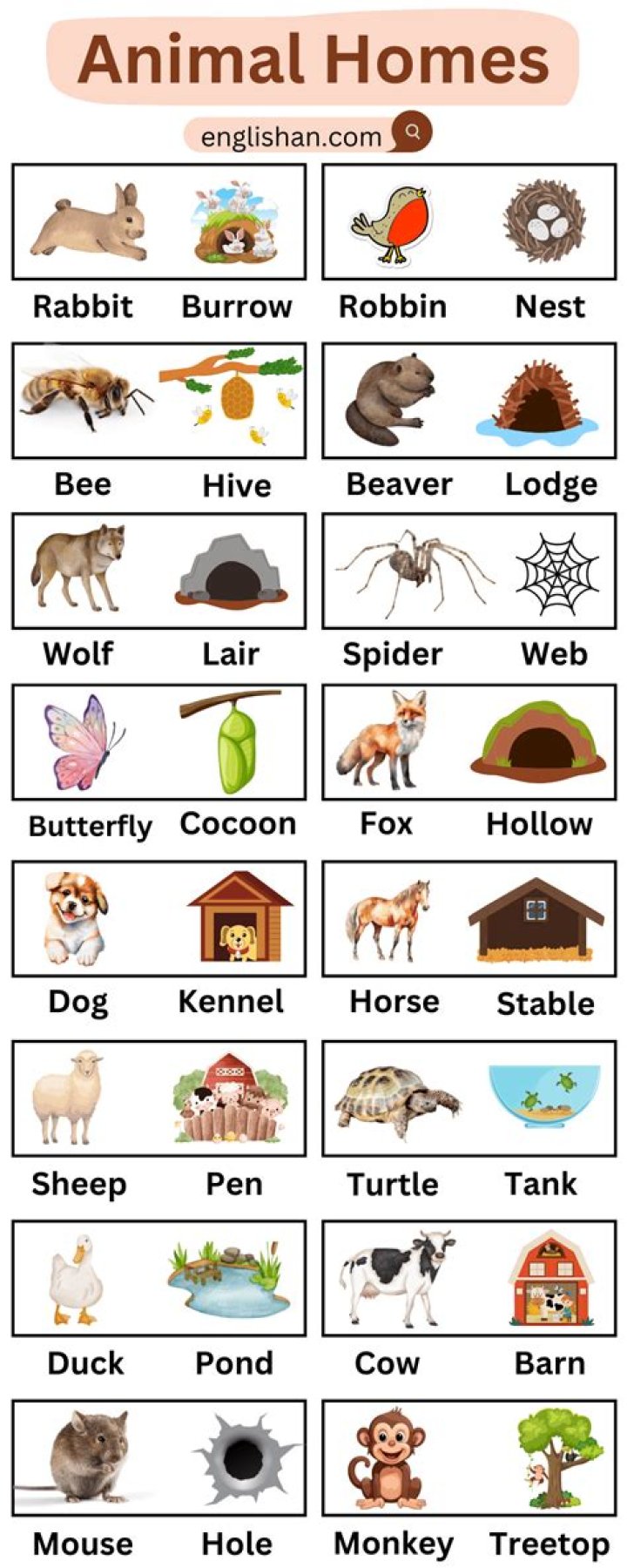 Complete Animal Homes List PDF – Perfect Guide for Pet Owners