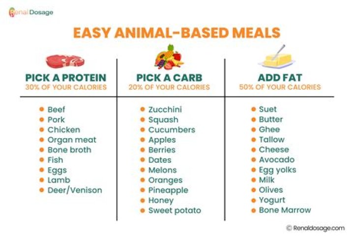 Animal Based Diet Meal Plan PDF: Ultimate Meal Guide