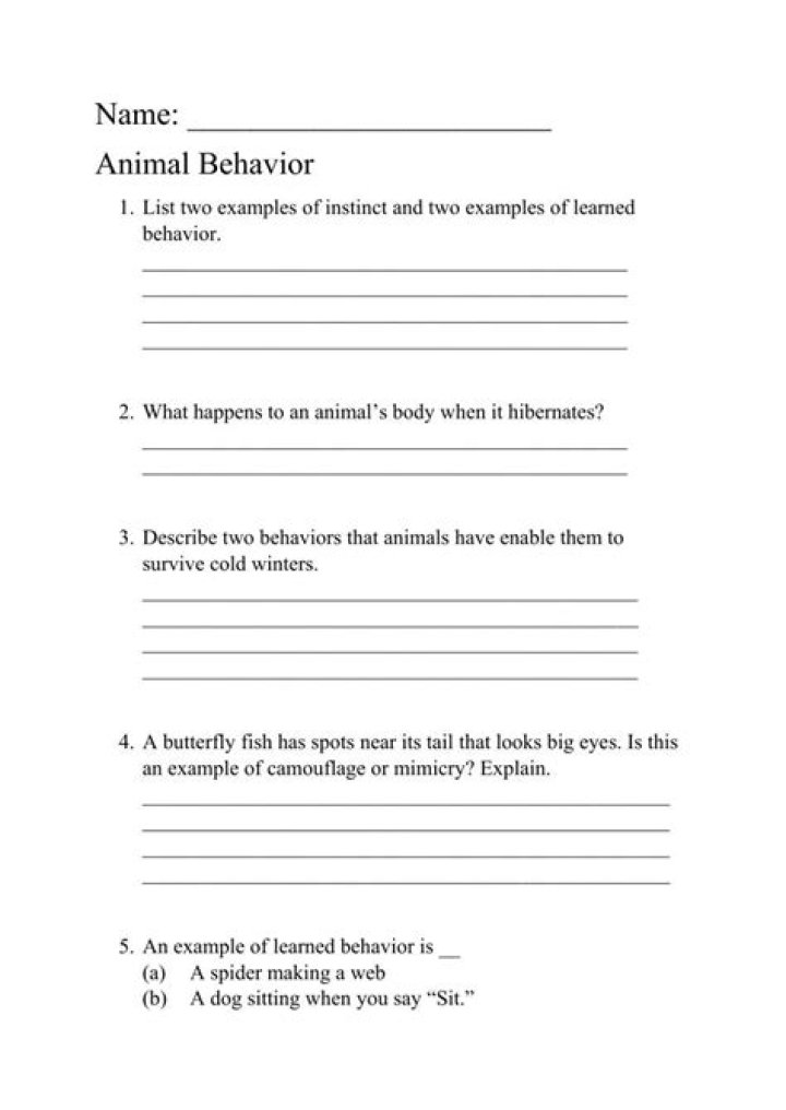 Free Animal Behavior Worksheet PDF for Students & Teachers