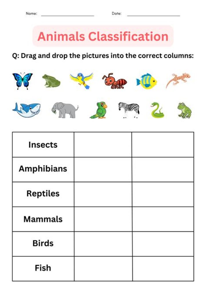 Animal Classification Test for 2nd Grade – Free PDF Worksheet