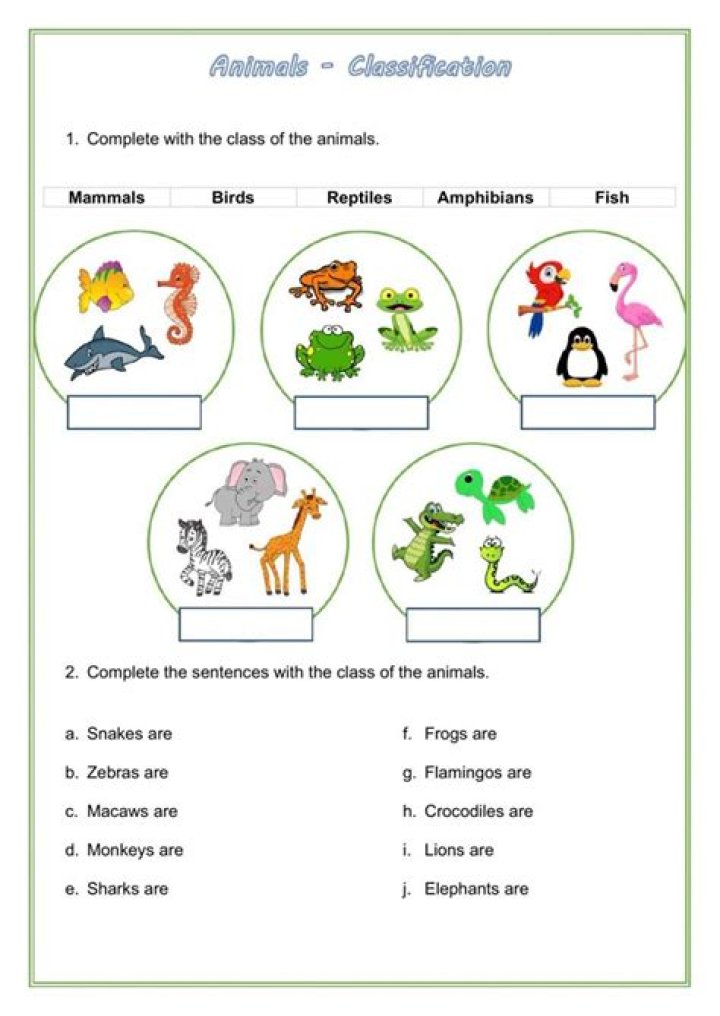 Animal Classification Worksheet PDF for Students