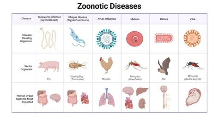 Complete Animal Diseases List PDF for Veterinarians & Pet Owners