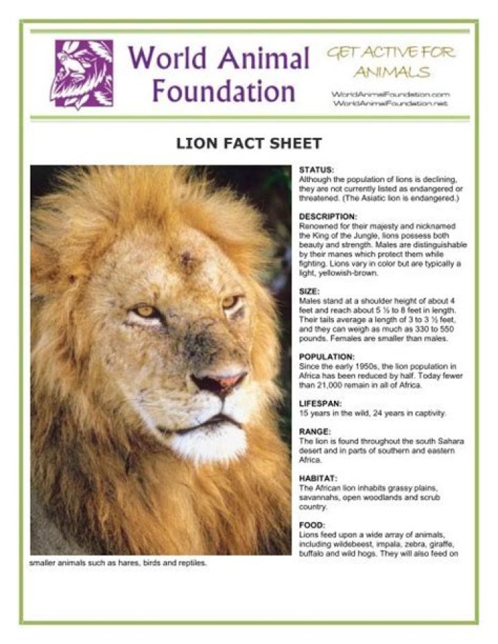 Free Animal Fact Sheets PDF: Discover Wildlife Facts in One Easy Guide