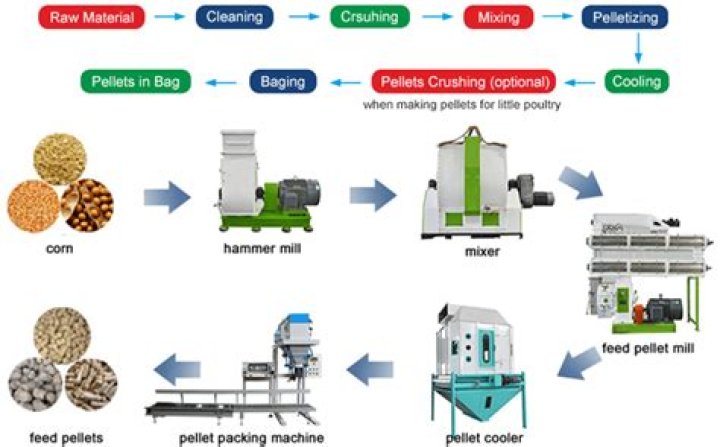 Animal Feed Manufacturing Business Plan PDF: Full Step-by-Step Guide