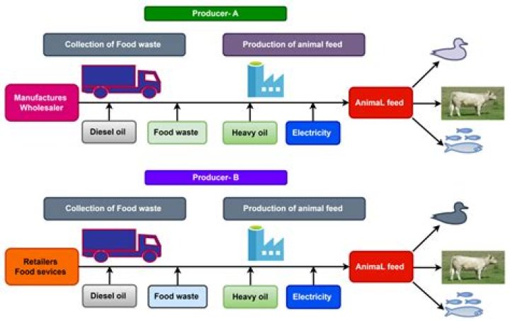 Efficient Animal Feed Resource Management PDF Guide