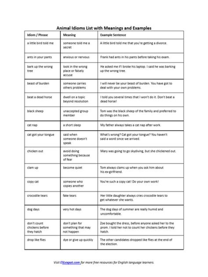 Complete Animal Idioms List PDF – Master Common Wildlife Sayings
