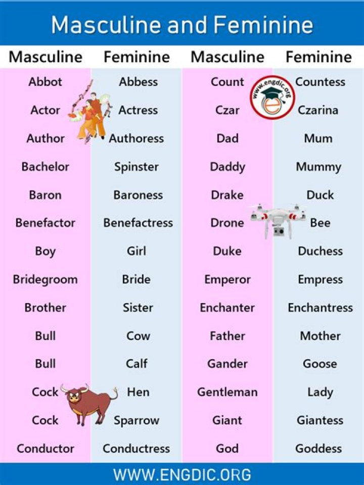Masculine and Feminine Animal Gender Words List PDF – Free Download