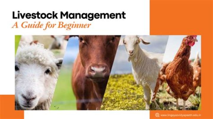 Essential Animal Management Practices: Expert PDF Paper Guide