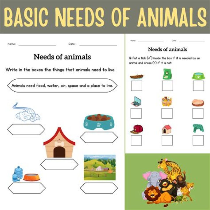 Complete Animal Needs Worksheet PDF – Free Printable for Pet Owners
