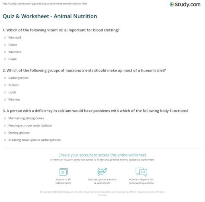 Animal Nutrition Questions & Answers: PDF Guide