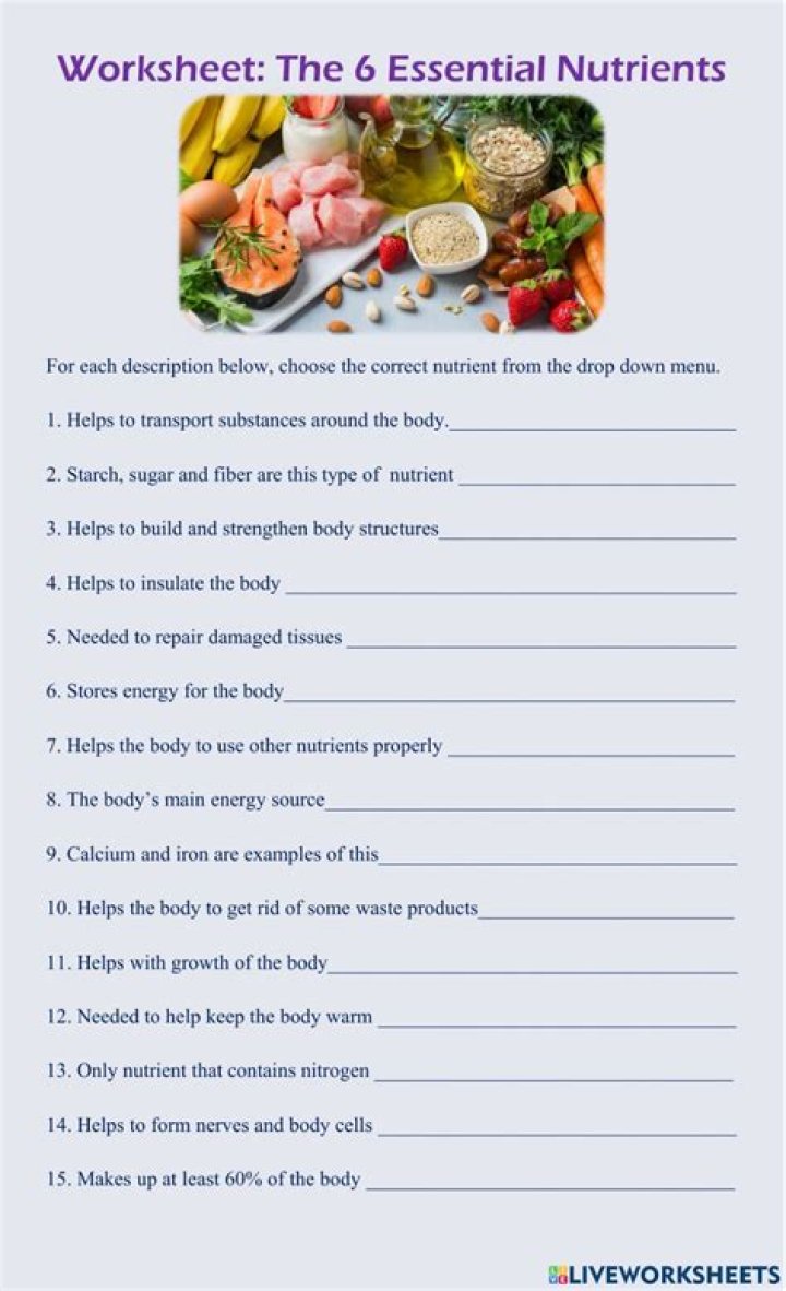 Free Animal Nutrition Worksheet PDF for Better Pet Care