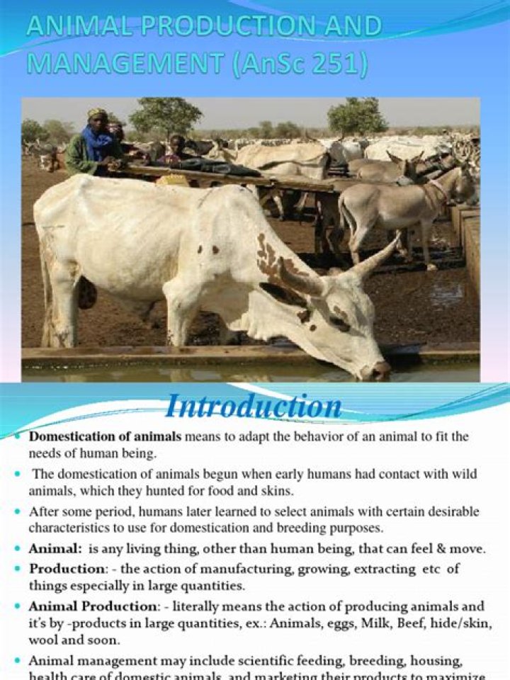 Comprehensive Animal Production and Management PDF Guide