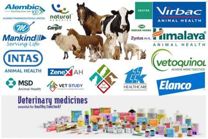 Complete Animal Products List PDF – Buy & Use Guide