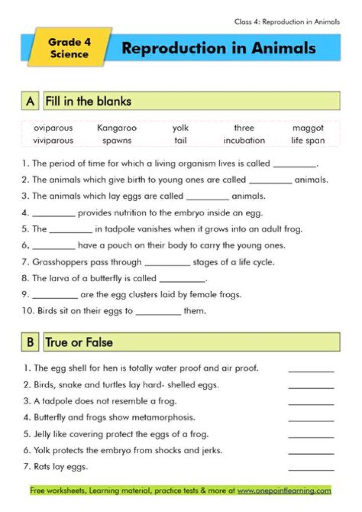 Animal Reproduction Worksheet PDF for Educators and Students