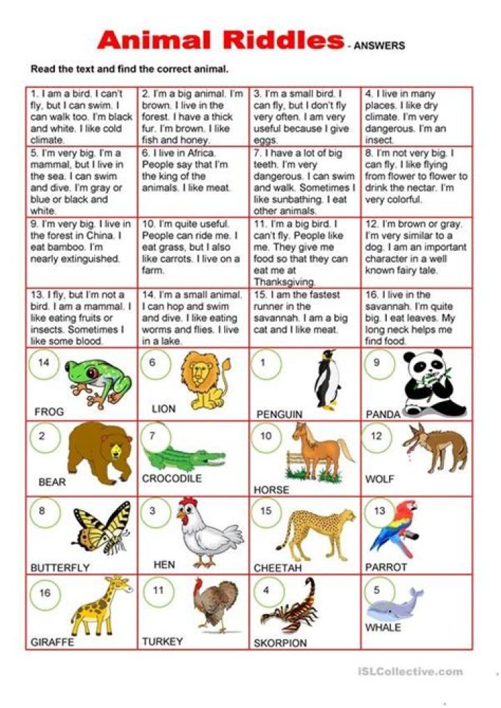Animal Riddles Who Am I? – Fun PDF with Answers