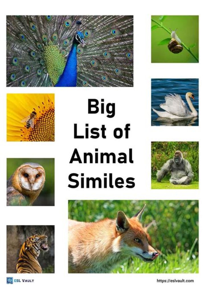 Animal Similes List PDF: Funny & Creative Comparisons for Kids & Writers