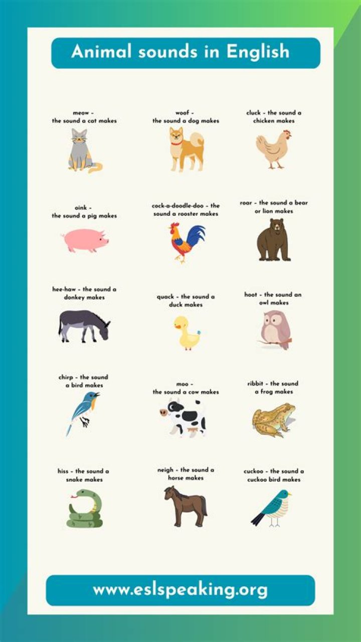 Animal Sounds List in English PDF: Perfect for Kids & Learners