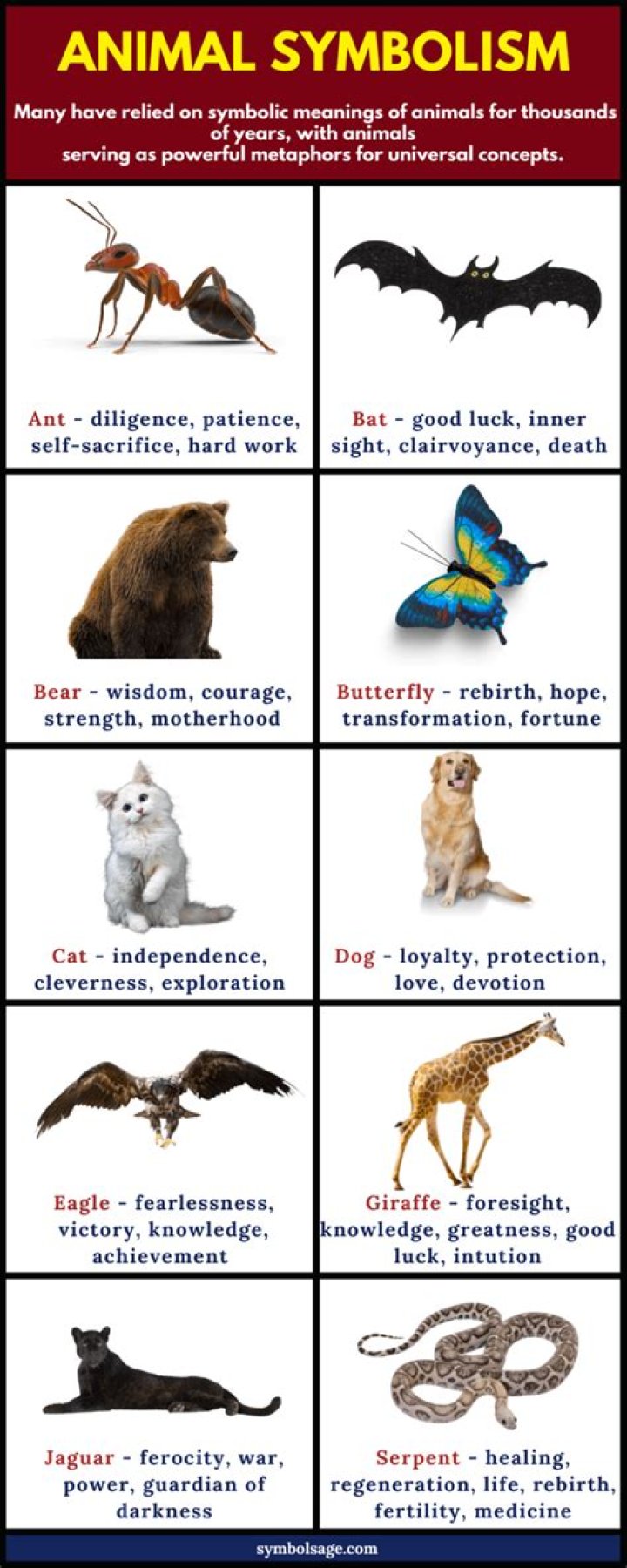 Animal Symbolism List PDF: Unlock Deep Meanings Behind Every Creature