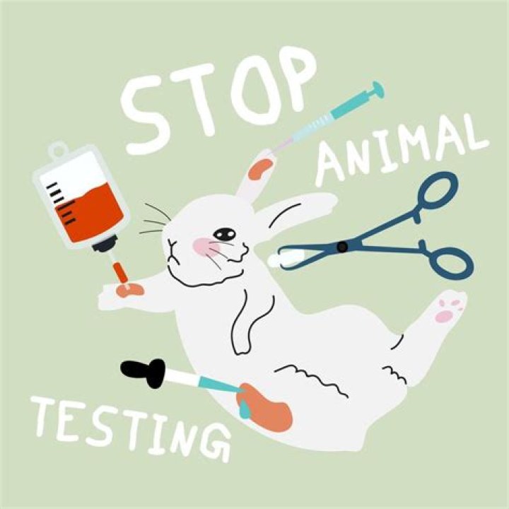 Animal Testing Cons PDF: Legal, Ethical, and Alternatives