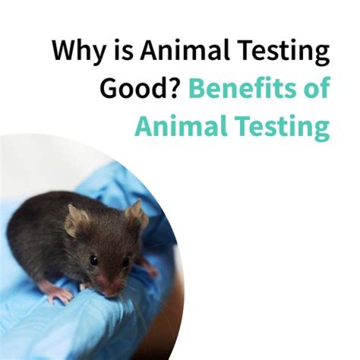 Animal Testing Definition PDF: Clear Explanation & Key Facts