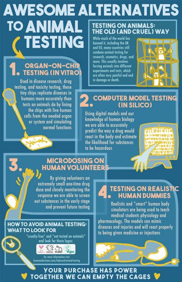 Essential Animal Testing Facts PDF: Critical Information You Need