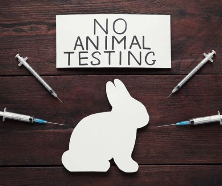 Animal Testing Issues and Ethics: A Critical PDF Analysis