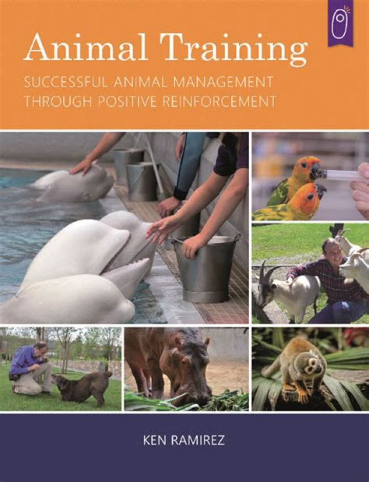 Successful Animal Management: Mastering Positive Reinforcement with PDF Guide
