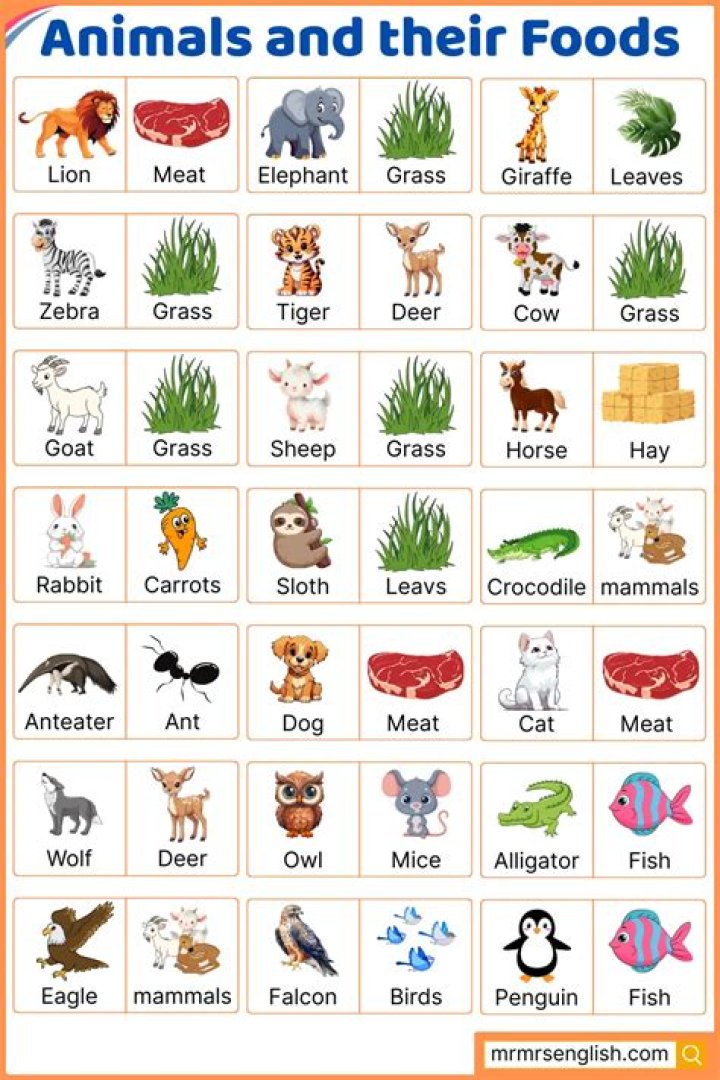 Animals and Their Food List PDF – Complete Guide
