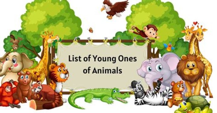 Animals and Their Young Ones List PDF – Complete Guide