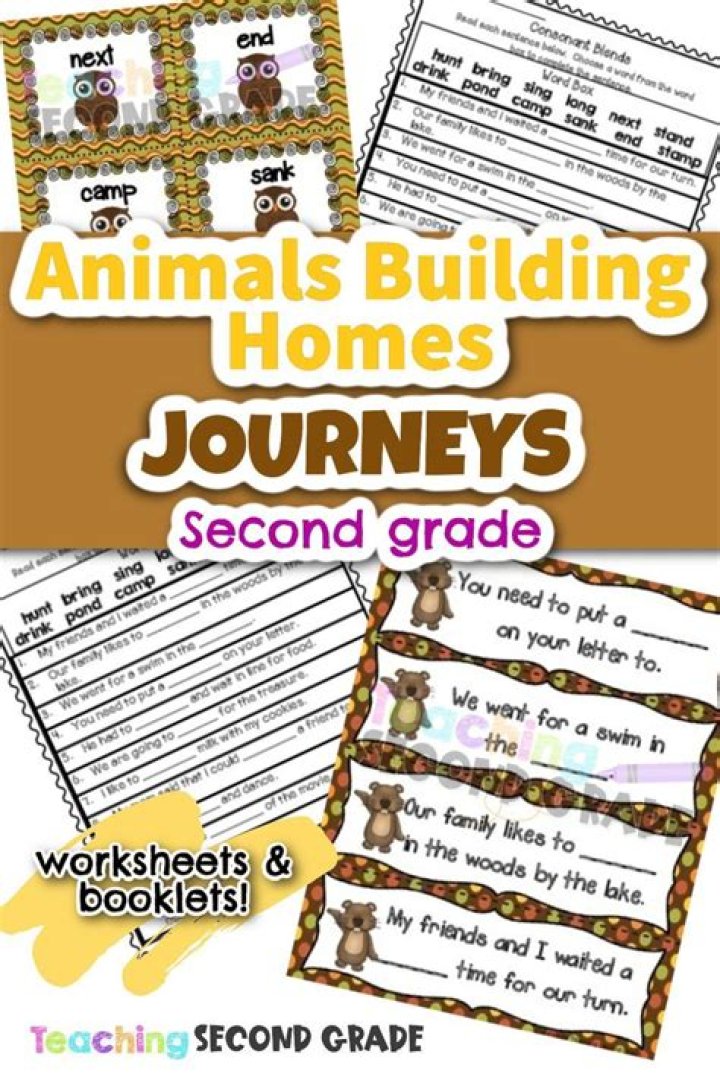 Animals Building Homes: A Journey Through Nature’s Tests PDF