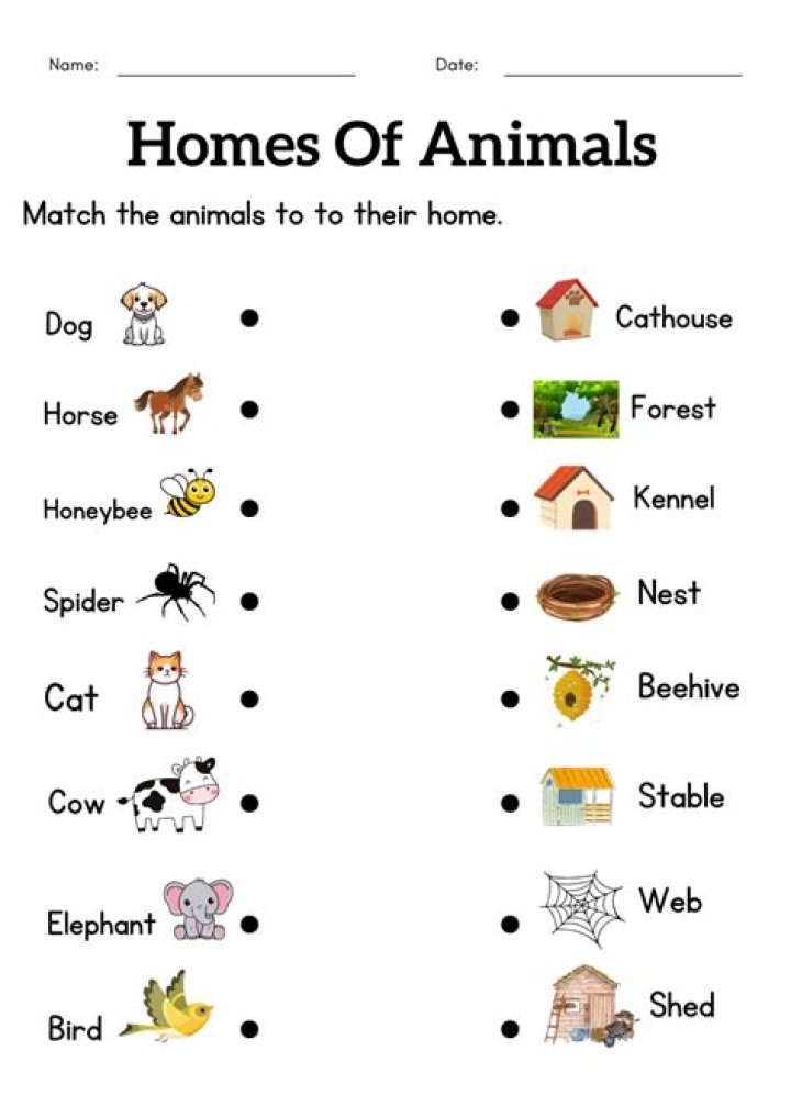 Animals Building Homes: Test PDF for Kids