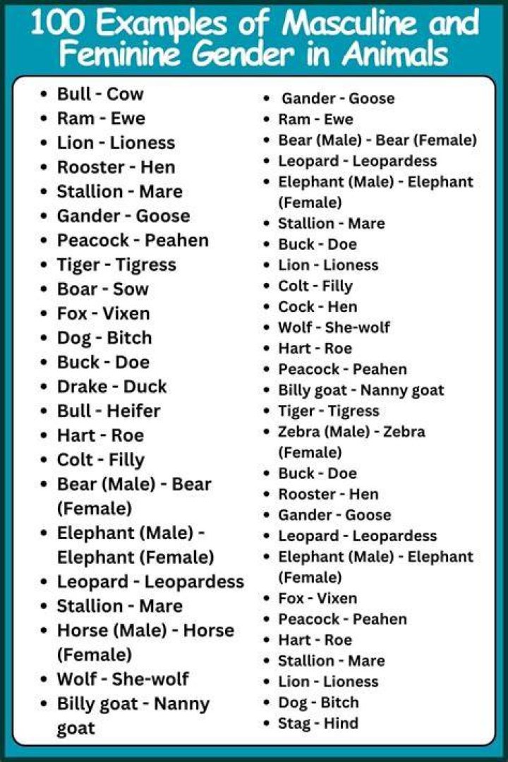 Animals Gender List PDF: Complete Reference for Animal Behavior