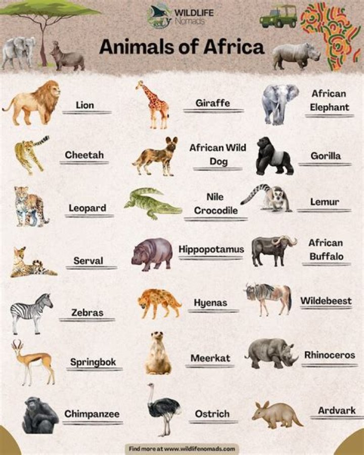 Complete Animals in Africa List PDF – Discover Africa’s Wildlife