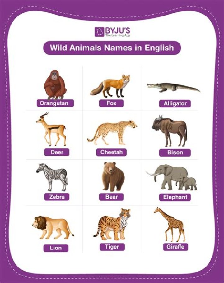 Complete Animals Name List A to Z PDF – Download Free Table