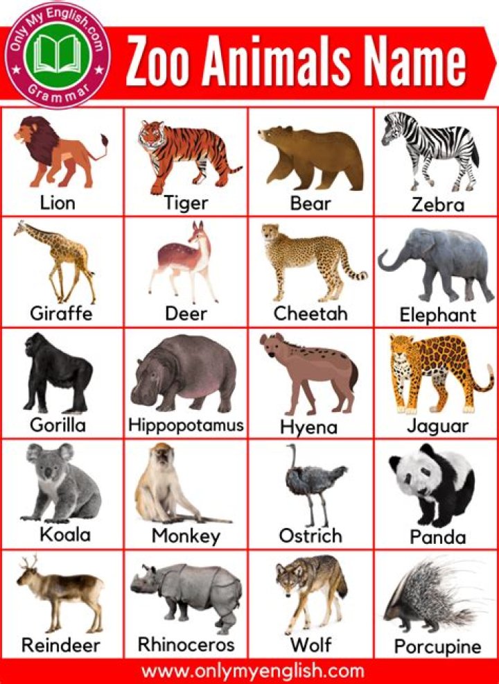 Animals Name List with Pictures PDF – Download Free Animal Names