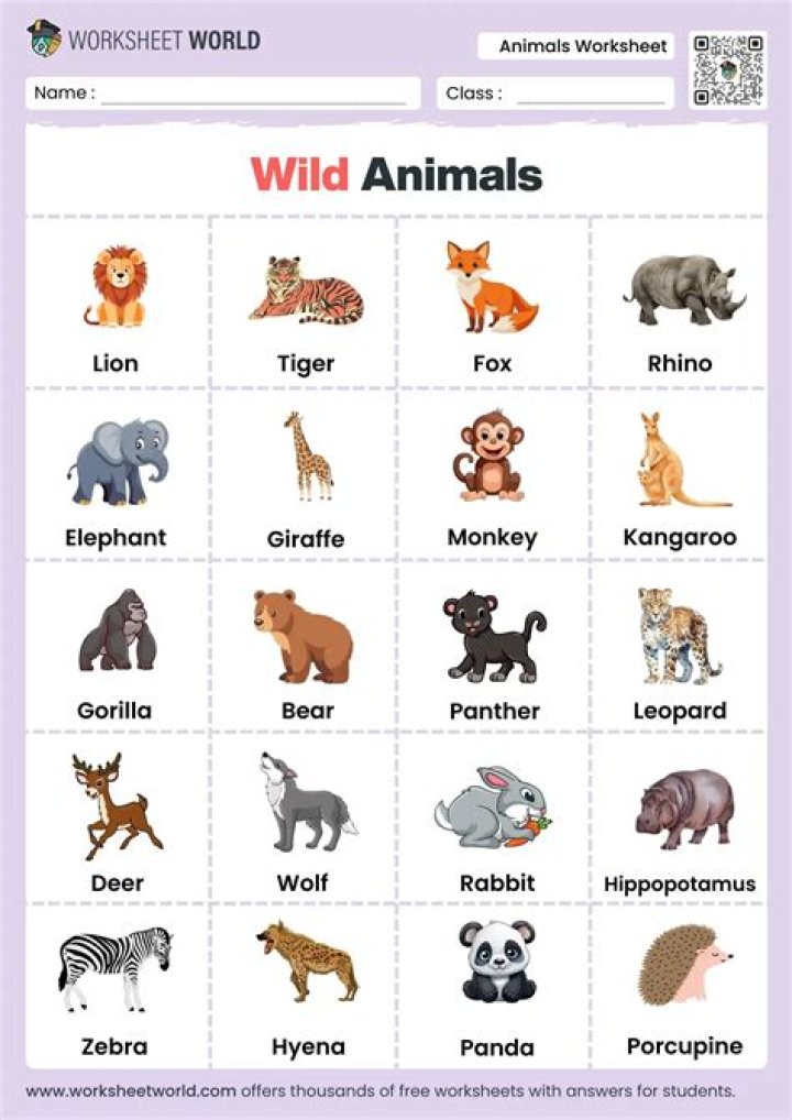 Complete Animals Names List PDF for Kids & Educators