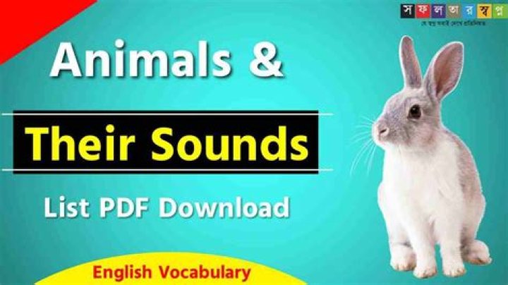 Animals Sounds List PDF: Fun Animal Noises for Kids & Learners